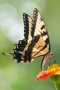 850_7755_53143037764_o.jpg