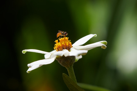 flickr_52113524350.jpg