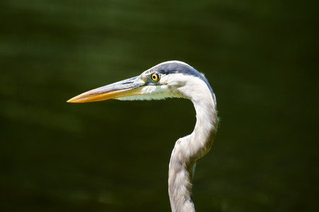 52229657074_0f13747e48_o.jpg