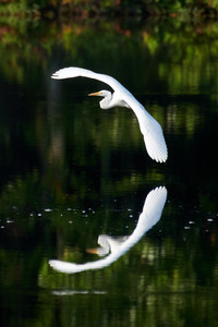 850_00981_52362348794_o.jpg