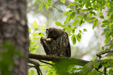 flickr_38655696536.jpg