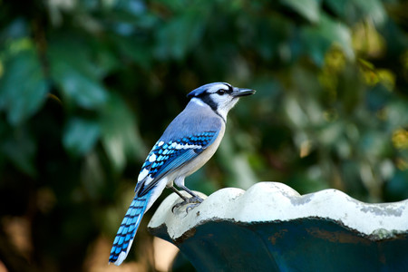 flickr_48811754116.jpg