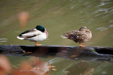 flickr_51793554907.jpg