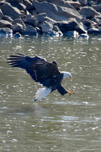 flickr_51887887763.jpg