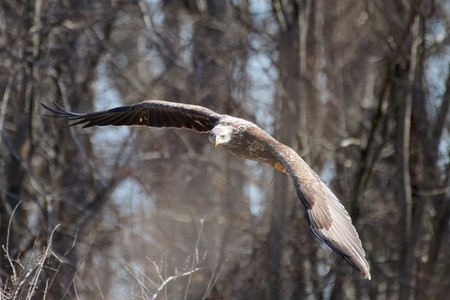 flickr_51888134249.jpg