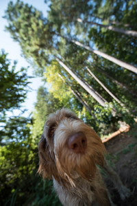 flickr_28211859647.jpg
