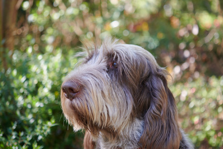 flickr_33705186358.jpg