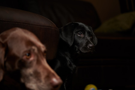 flickr_46712754691.jpg