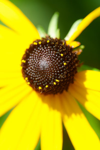 52191041278_241c776aca_o.jpg