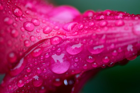 flickr_24501933908.jpg