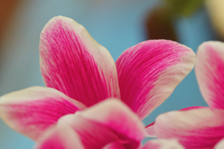 flickr_32502928767.jpg