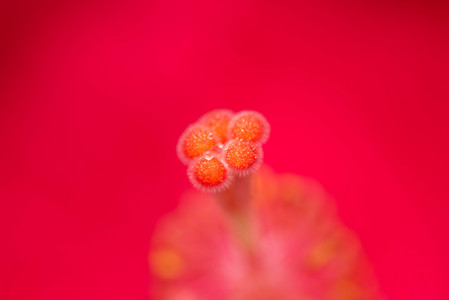 flickr_42629100862.jpg