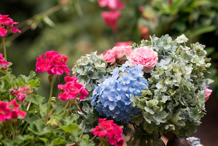 flickr_43030451712.jpg
