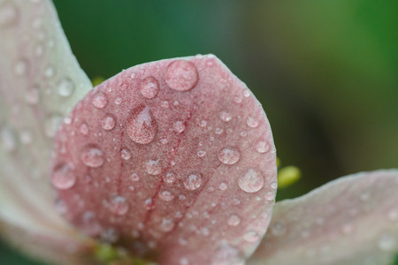 flickr_46427279184.jpg