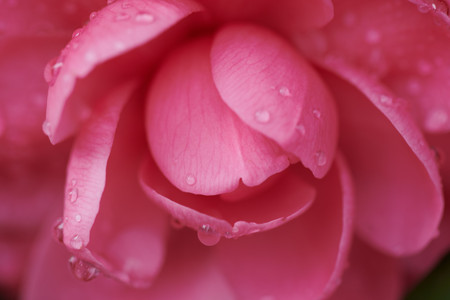 flickr_46721579594.jpg