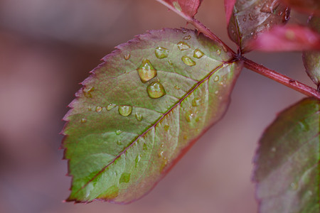 flickr_47444554941.jpg