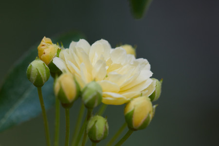 flickr_47582151871.jpg