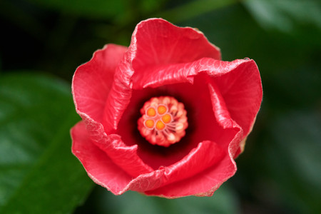 flickr_48627348688.jpg