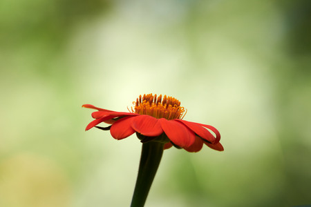 flickr_50272113682.jpg