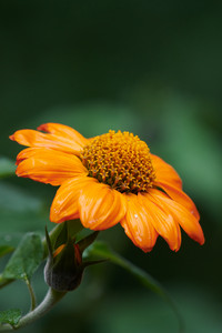 flickr_50543635023.jpg