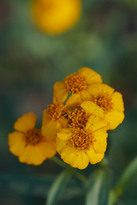 flickr_50565949993.jpg
