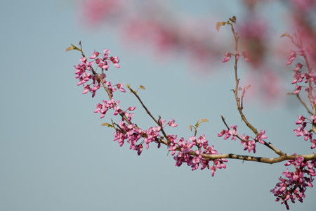 flickr_51086032291.jpg