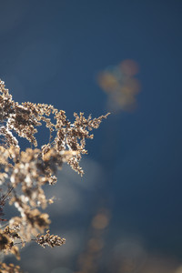 flickr_51745440912.jpg
