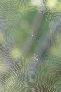 850_0920_53226237151_o.jpg