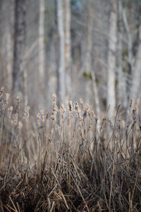 flickr_50779788501.jpg