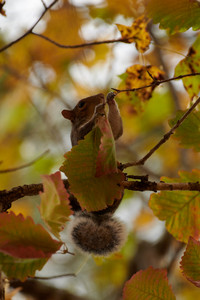 flickr_51700648670.jpg