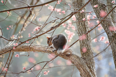 flickr_51901483579.jpg