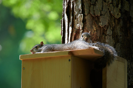 flickr_52040105471.jpg