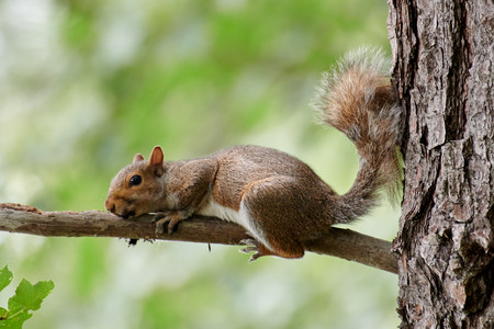 flickr_52218071261.jpg